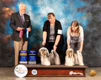Havanese #10 Sat BOB #8 BOW Judge Houston Clark