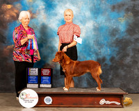 Nova Scotia Duck Tolling Retriever #8 Sat BOB Judge Gloria Kerr