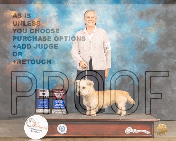 Glen of Imaal Terrier #6 Sat BOBOHBOB Judge Gloria Kerr-MMJ_2169-Amarillo2021