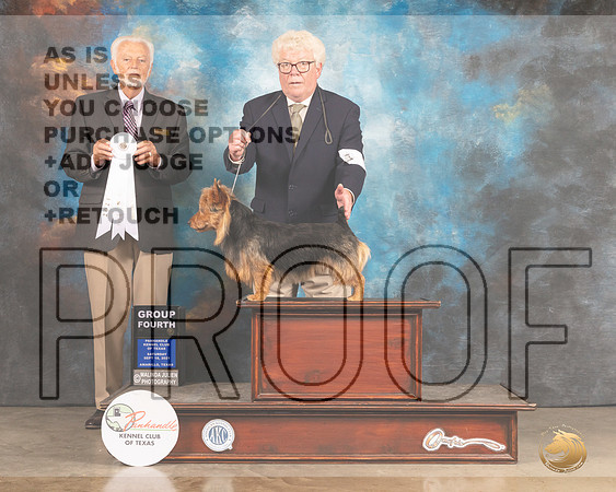 Australian Terrier #5 Sat G4 Judge Houston Clark-MMJ_2431-Amarillo2021