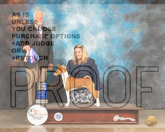 Basenji #12 Sat BOB Judge Houston Clark-MMJ_2423-Amarillo2021