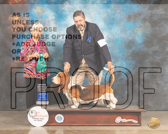 Basset Hound #7 Sat OHG3 Judge Gloria Kerr-MMJ_2447-Amarillo2021