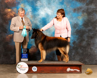Belgian Tervuren #5 Sat OHBIS Judge Robert Robinson