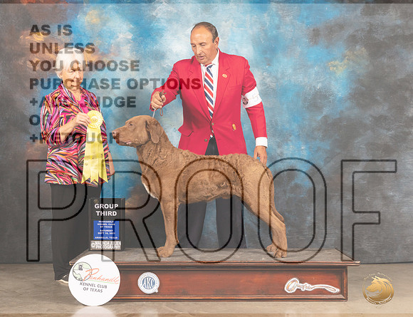 Chesapeke Bay Retriever #5 Sat G3 Judge Gloria Kerr-MMJ_2233-Amarillo2021