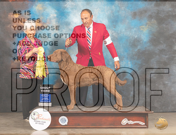 Chesapeke Bay Retriever #5 Sat G3 Judge Gloria Kerr-MMJ_2234-Amarillo2021