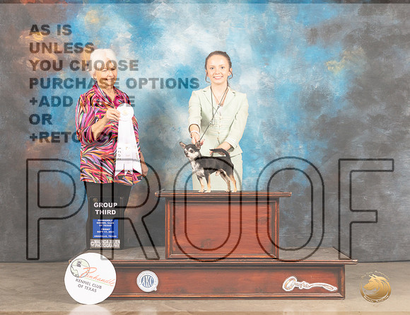 Chihuahua Smooth Coat #5 Sat Fri Judge Gloria Kerr-MMJ_2239-Amarillo2021