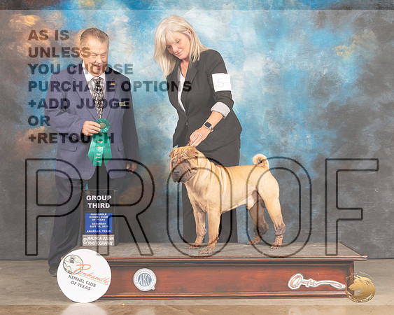 Chinese Shar Pei #5 Sat OHG3 Judge Del Richard-MMJ_2390-Amarillo2021