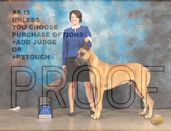 Great Dane #5 Sat OHG4 Judge Robert Robinson-MMJ_2256-Amarillo2021