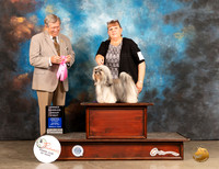 Havanese #10 Sat OHG1 Judge Robert Robinson