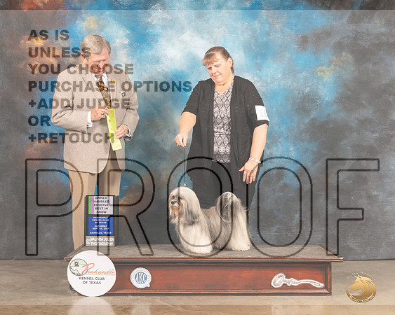 Havanese #10 Sat OHRBIS Judge Robert Robinson-MMJ_2549-Amarillo2021