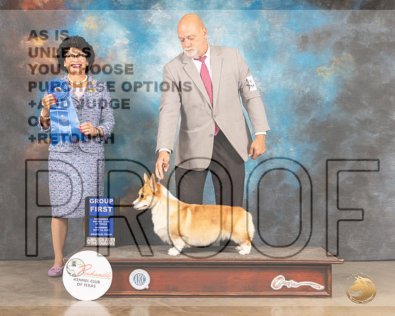 Pembroke Welsh Corgi #10 Sat G1 Judge Linda Clark-MMJ_2473-Amarillo2021