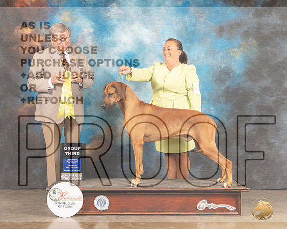 Rhodesian Ridgeback #5 Sat G2 Judge Robert Robinson-MMJ_2413-Amarillo2021