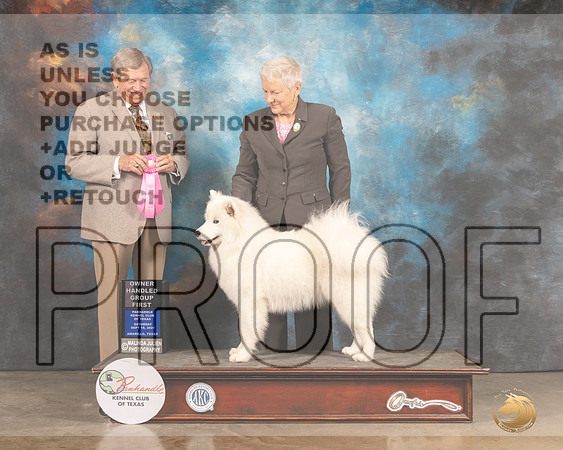 Samoyed #6 Sat OHG1 Judge Robert Robinson-MMJ_2514-Amarillo2021