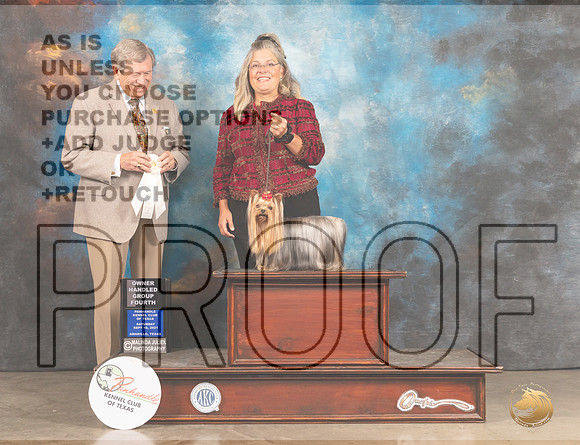 Yorkshire Terrier #5 Sat OHG4 Judge Robert Robinson-MMJ_2341-Amarillo2021