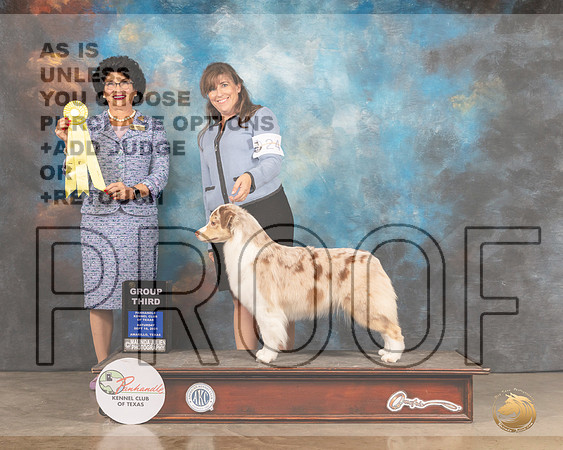 Australian Shepherd #24 Sat G3 Judge Linda Clark-MMJ_2500-Amarillo2021