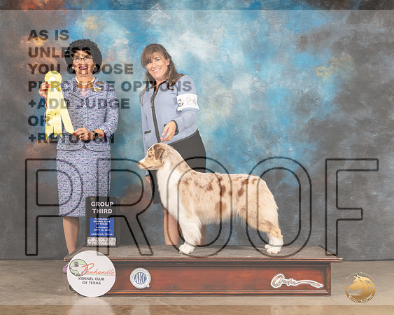 Australian Shepherd #24 Sat G3 Judge Linda Clark-MMJ_2501-Amarillo2021