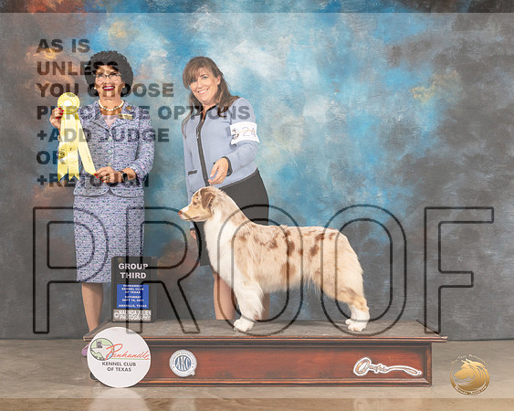 Australian Shepherd #24 Sat G3 Judge Linda Clark-MMJ_2503-Amarillo2021