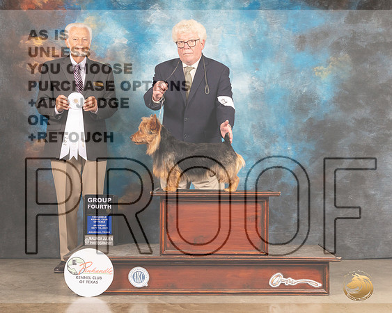 Australian Terrier #5 Sat G4 Judge Houston Clark-MMJ_2429-Amarillo2021