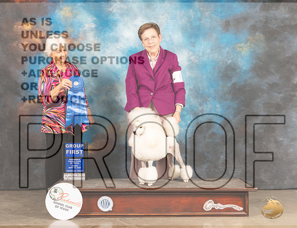 Poodle Miniature #6 Sat G1 Judge Gloria Kerr-MMJ_2310-Amarillo2021