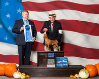 Miniature Pinschers #5 Sat G1 Dewey Larry Penny CM Smith Dan Bayless Judge Mr Richard H Mullen