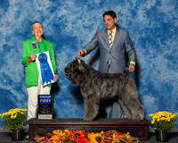 Bouviers Des Flounders #6 Sun G1 Martin Priscilla W Agent Greg Reyna Judge Mrs Carolyn A Herbel