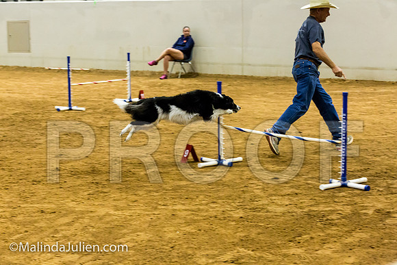 Agility JWW Exc 16 Sat Border Collie Annie-JJJ_1108-ACDCA2018-HR3