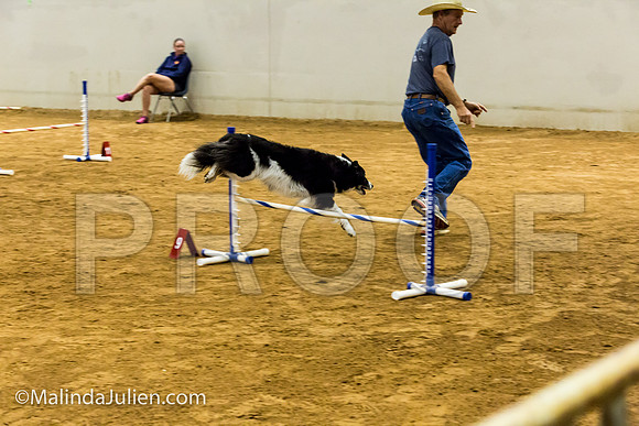 Agility JWW Exc 16 Sat Border Collie Annie-JJJ_1109-ACDCA2018-HR3