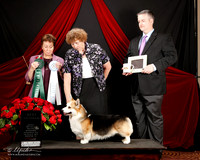 #115 Best Vet SD VICKI SANDAGE DVM AND BRENDA STILES D HARTLEY C STAUP Judge Theresa Maddox