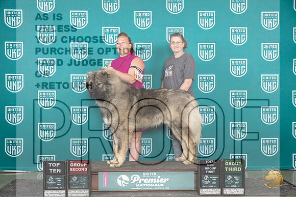 Caucasion Ovcharka #1150 Sun G3 Judge Tracie Karsjens__JP_3211_Premier_2024_HR3