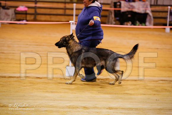 GSD-1009-MrshllDec13-HR