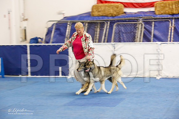 _M3_1657-AddisonHuskyMar2015-HR3