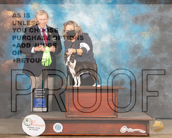 Boston Terrier #6 Sun OHG2 Judge Robert Robinson-MMJ_2804-Amarillo2021