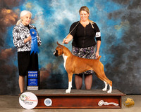 Boxer #10 Sun G1 Judge Jan Paulk