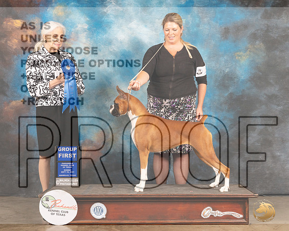 Boxer #10 Sun G1 Judge Jan Paulk-MMJ_2763-Amarillo2021