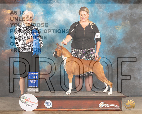 Boxer #10 Sun G1 Judge Jan Paulk-MMJ_2767-Amarillo2021