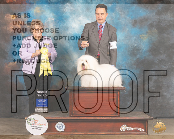 Coton #7 Sun G3 Judge Jane Blackerby-MMJ_2777-Amarillo2021