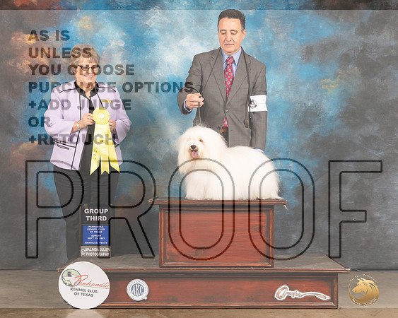 Coton #7 Sun G3 Judge Jane Blackerby-MMJ_2778-Amarillo2021