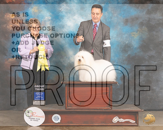 Coton #7 Sun G3 Judge Jane Blackerby-MMJ_2779-Amarillo2021