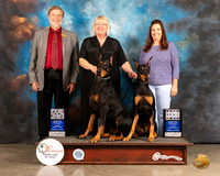 Doberman Pinscher #25 #26 Judge Cathy Caballero Robert Margolis