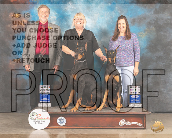 Doberman Pinscher #25 #26 Judge Cathy Caballero Robert Margolis-MMJ_2707-Amarillo2021