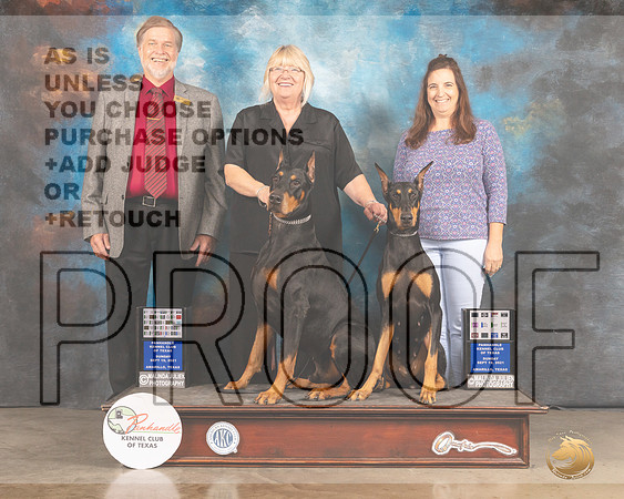 Doberman Pinscher #25 #26 Judge Cathy Caballero Robert Margolis-MMJ_2708-Amarillo2021