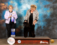Poodle Miniature #14 Sun BOW Judge Jane Blackerby