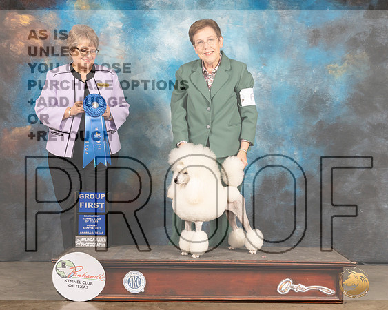 Poodle Miniature #6 Sun G1 Judge Jane Blackerby-MMJ_2770-Amarillo2021