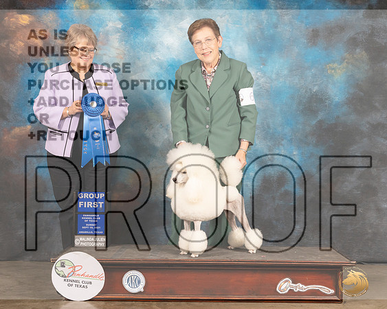Poodle Miniature #6 Sun G1 Judge Jane Blackerby-MMJ_2774-Amarillo2021