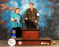 Pug #8 Sun BOB WB Judge Donelle Richard