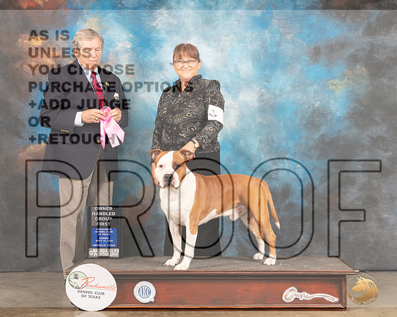 American Staffordshire Terrier #5 Sun OHG1 Judge Richard Robinson-MMJ_2816-Amarillo2021