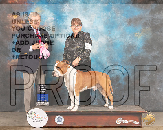 American Staffordshire Terrier #5 Sun OHG1 Judge Richard Robinson-MMJ_2819-Amarillo2021