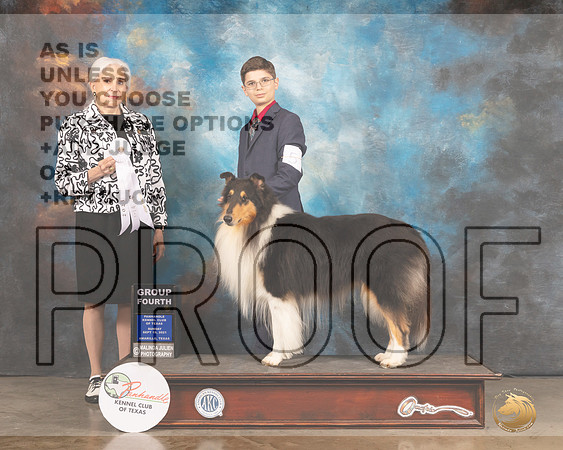 Collie Rough #5 Sun #5 G4 Judge Jan Paulk-MMJ_2846-Amarillo2021