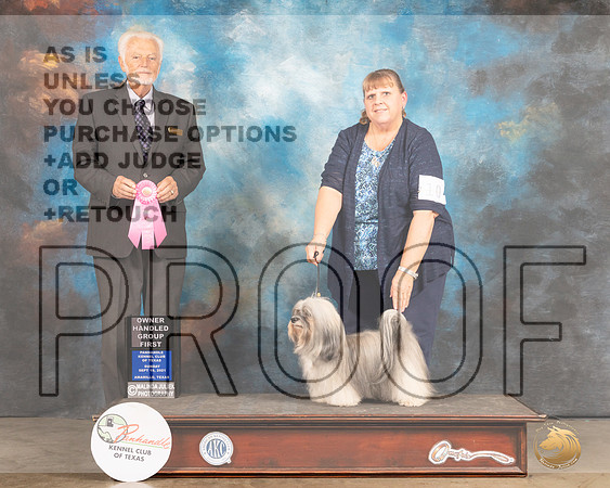 Havanese #10 Sun OHG1 Judge Houston Clark-MMJ_2899-Amarillo2021