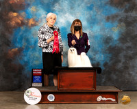 Maltese #6 Sun G2 Judge Jan Paulk
